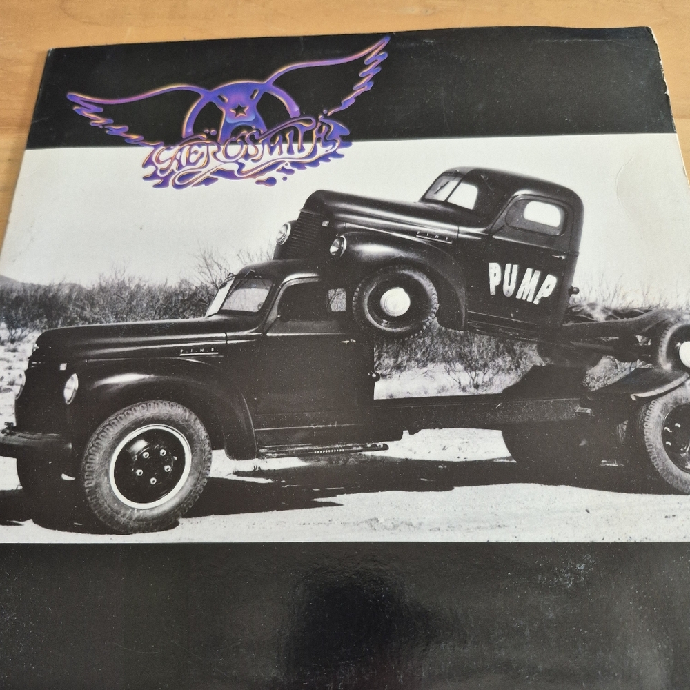Vintage 1989 Aerosmith Pump Vinyl